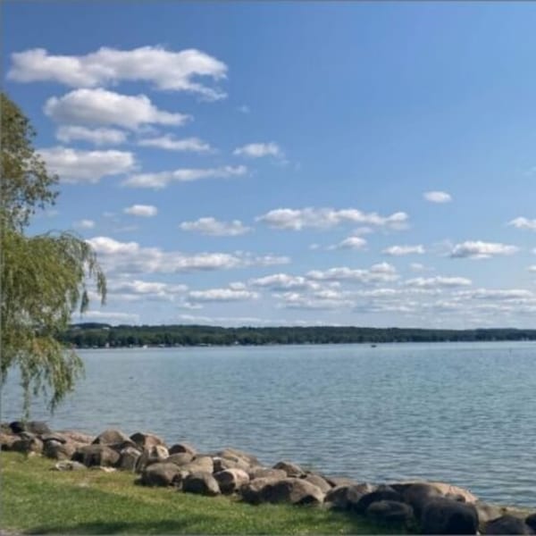 A serene lake view with a rocky shore, green grass, and a weeping willow under a blue sky.